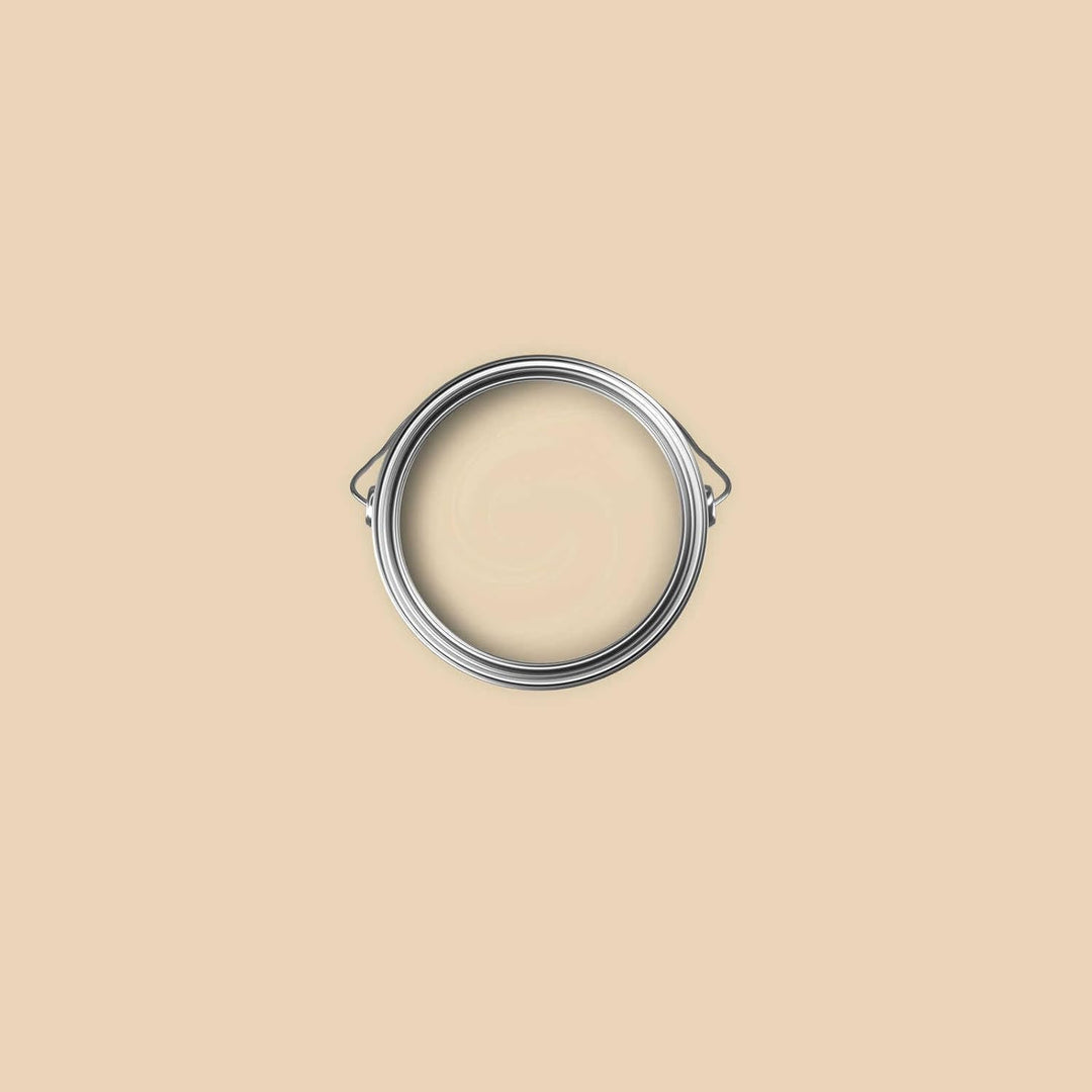 New Walls Premium Wandfarbe Beige, Champagner Liquid Luxury Dispersionsfarbe für Innenräume – 1 L 10