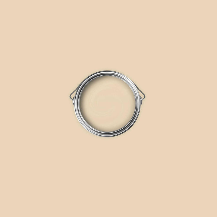 New Walls Premium Wandfarbe Beige, Champagner Liquid Luxury Dispersionsfarbe für Innenräume – 1 L 10