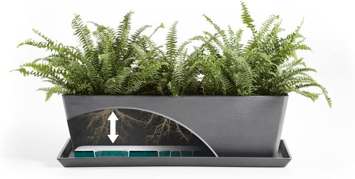 ECOPOTS Balkonkasten Bruges Dunkel Grau - 55 x 17 cm mit Wasserversorgung rechteckig - Pflanzentopf