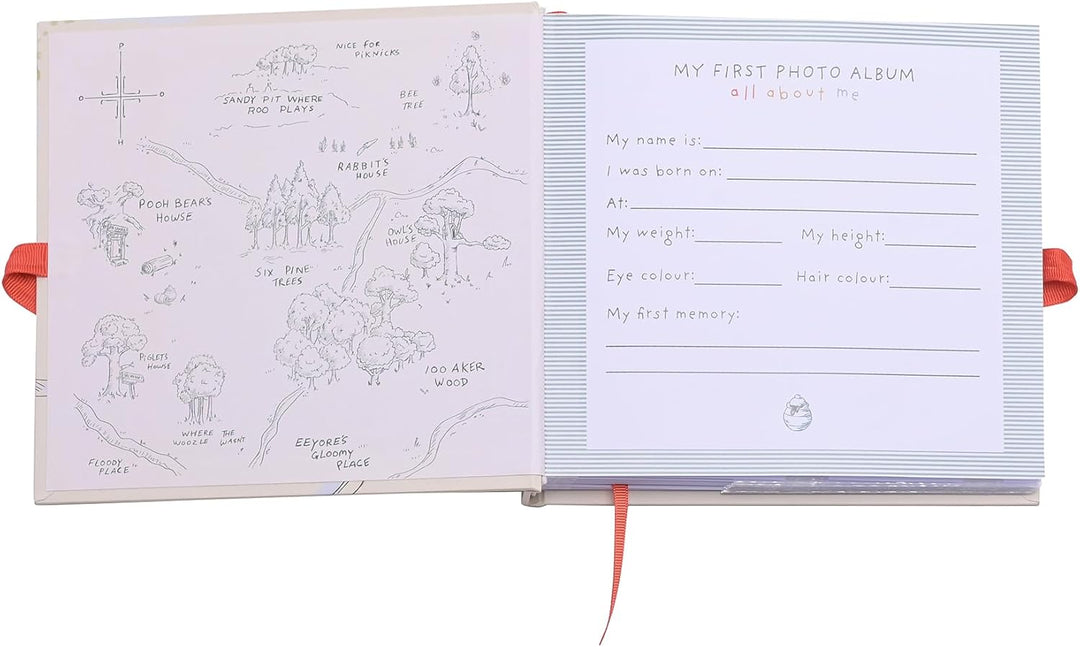 Disney Winnie The Pooh Photo Album