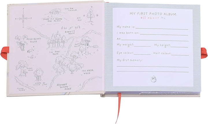 Disney Winnie The Pooh Photo Album