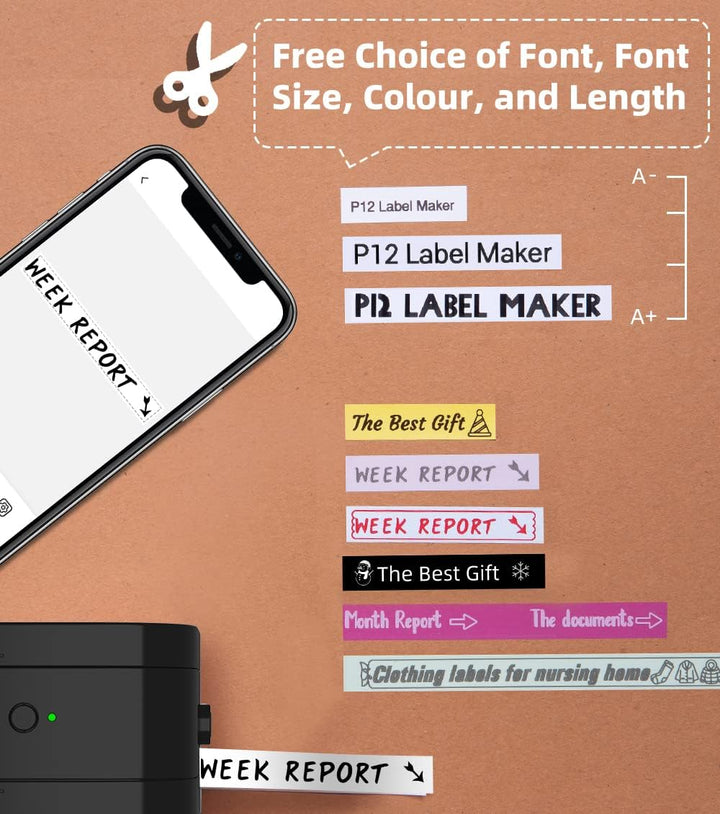 Phomemo P12 Pro Beschriftungsgerät Handgerät | Mini Bluetooth Etikettiergerät mit Etikettenband | US