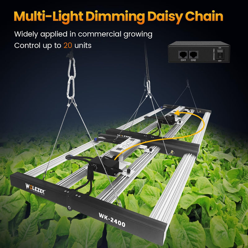 wolezek WK2400 LED Grow Lampe Vollspektrum mit 5000K Sam-sung Dioden, 240W Dimmbare Pflanzenlampe mi