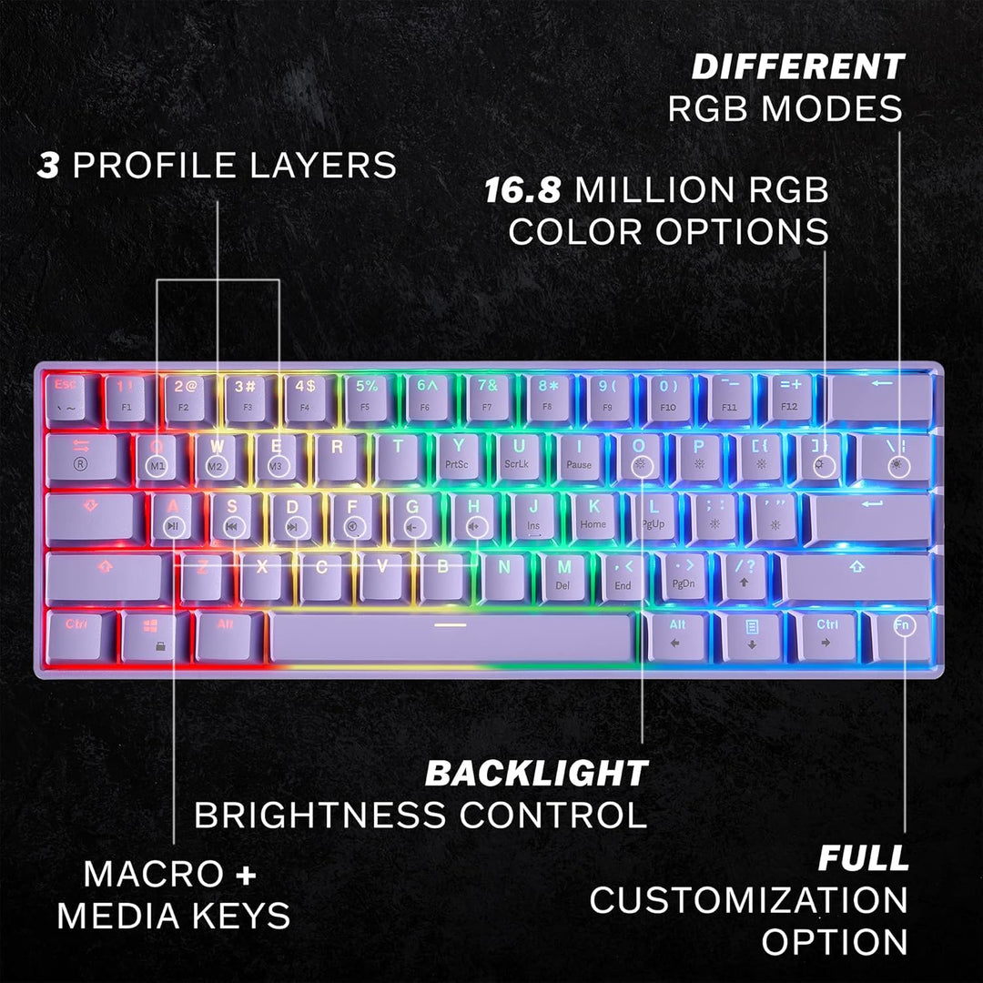 HK Gaming GK61 mechanische 60 Prozent Tastatur | 61 programmierbare Tasten mit RGB Beleuchtung | Win