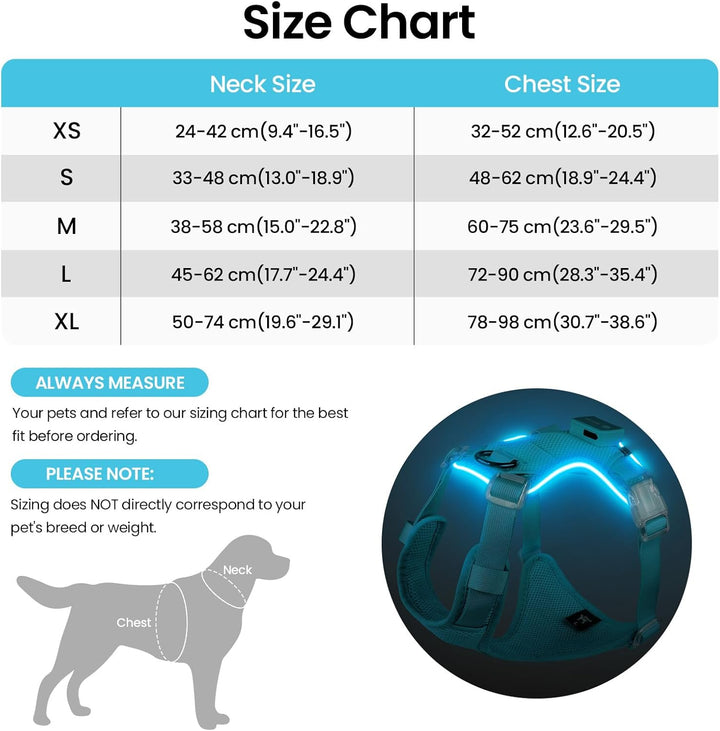 Light Up Dog Hundegeschirr Leuchtend LED Aufladbar - Leuchtgeschirr Leuchtend für Klein Mittelgrosse