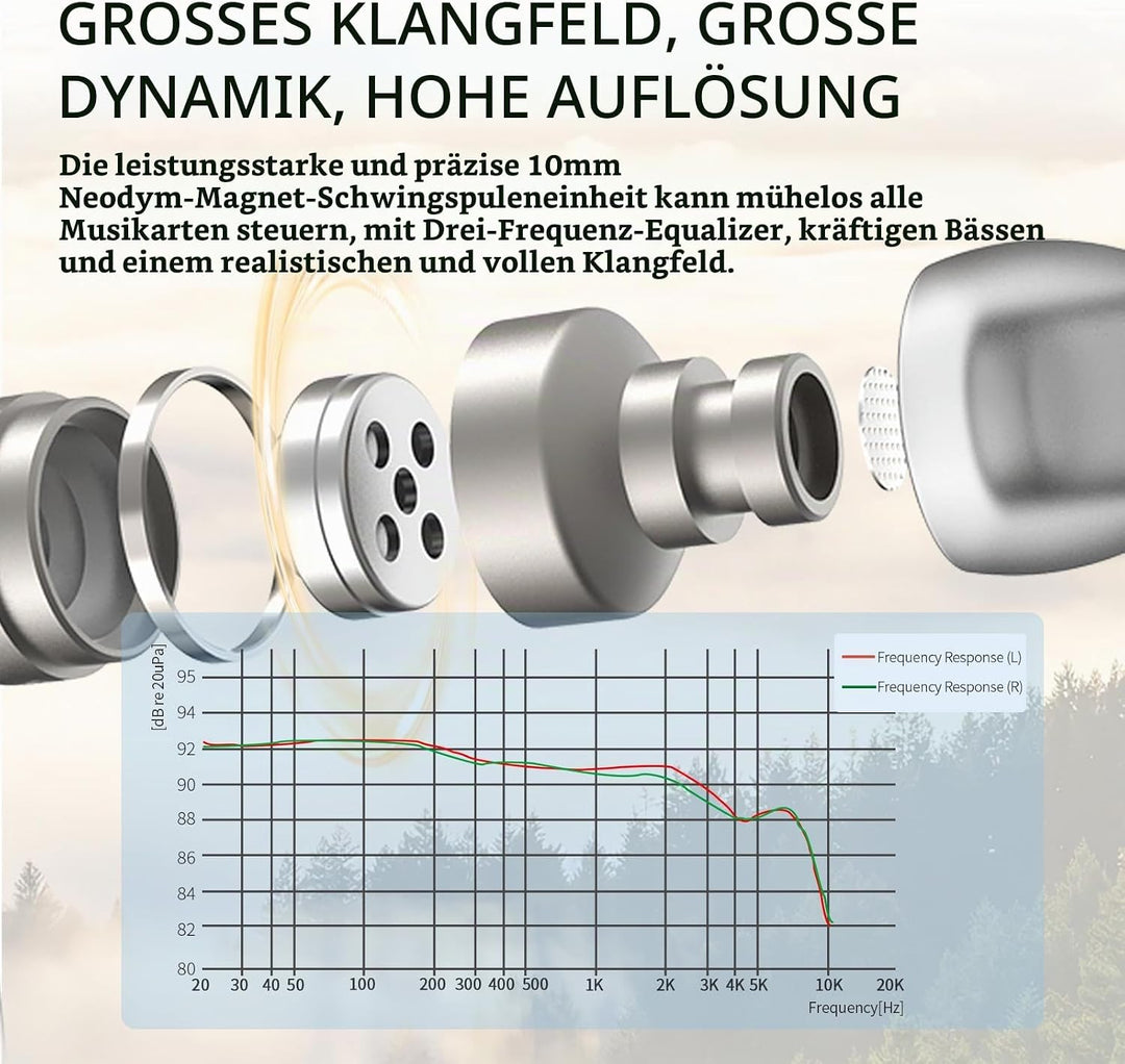 SoundMAGIC E80D Typ-C Ohrhörer mit Mikro, High-Res-DAC, Hi-Fi, Dunkelsilber | Glasklare Anrufe, High