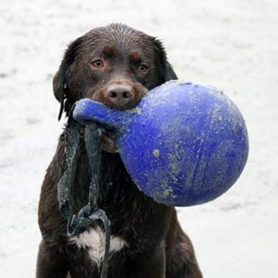 Jolly Pets JOLL047F Hundespielzeug - Tug-n-Toss, 25 cm, blau 25.40 cm Clear, 25.40 cm Clear