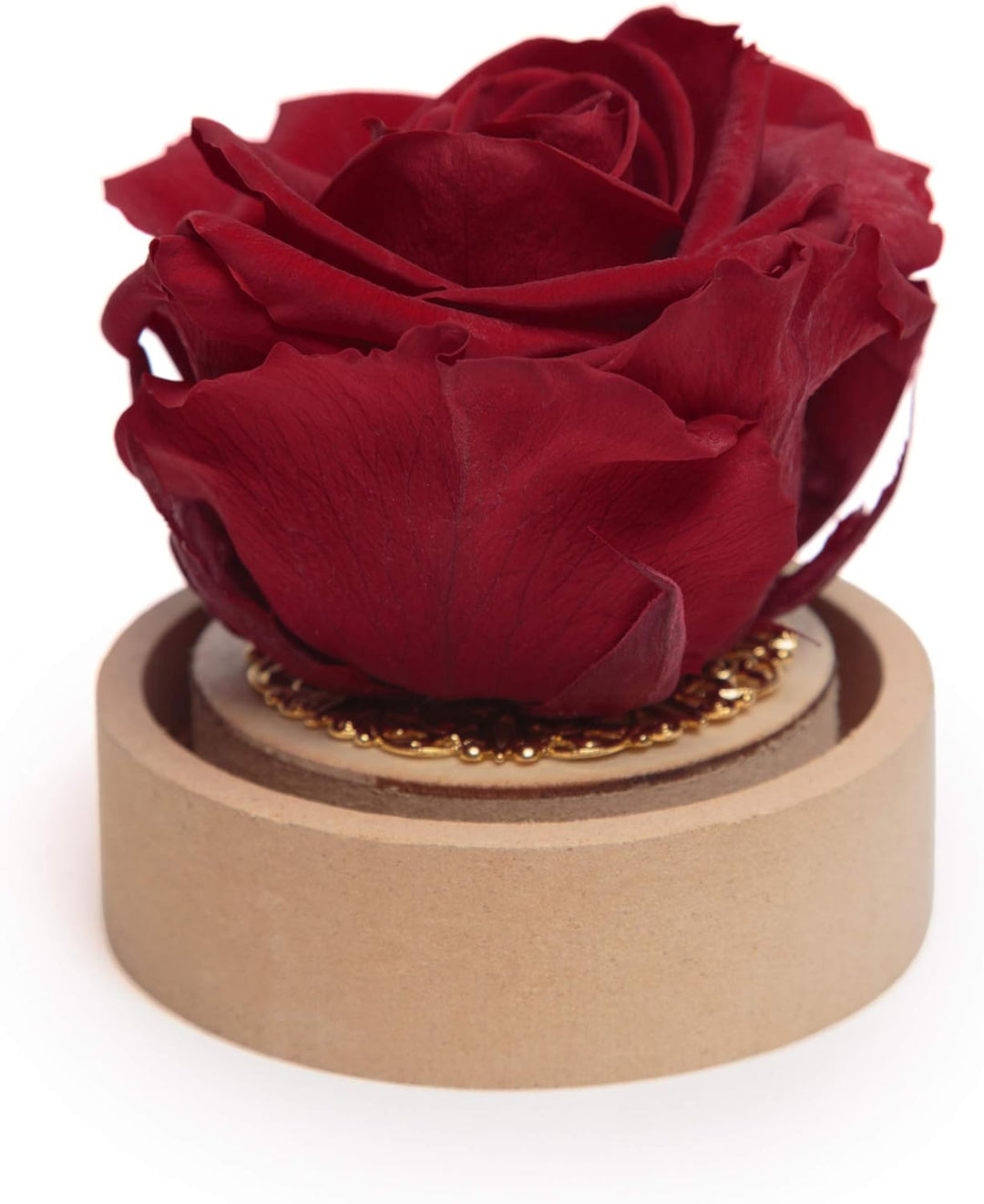 ROSEMARIE SCHULZ Heidelberg Infinity Rose im Glas echte haltbar langlebige Rose in Glaskugel (Large,