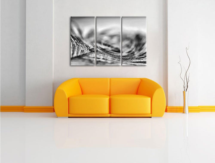 Pixxprint Pfauenfeder Detailaufnahme als Leinwandbild/Grösse: 3Teilig (120x80) / Wandbild/Kunstdruck