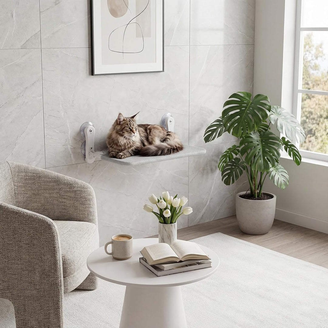 Kätzchen hängematte,fensterliegeplatz für Katzen mit Stabil Saugnäpfe,Katzenhängebett Fenster, Belas
