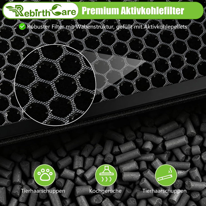 2er Filter Set für Philips Luftreiniger FY2420/30, AC2882, AC2887, AC2889 &amp; AC3829, Serie 2000 und 3