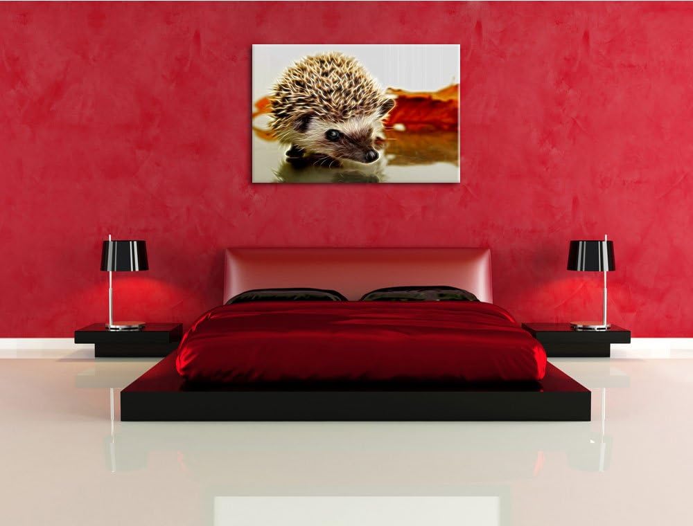 Süsser Igel Deluxe Format: 100x70 cm auf Leinwand, XXL riesige Bilder fertig gerahmt mit Keilrahmen,