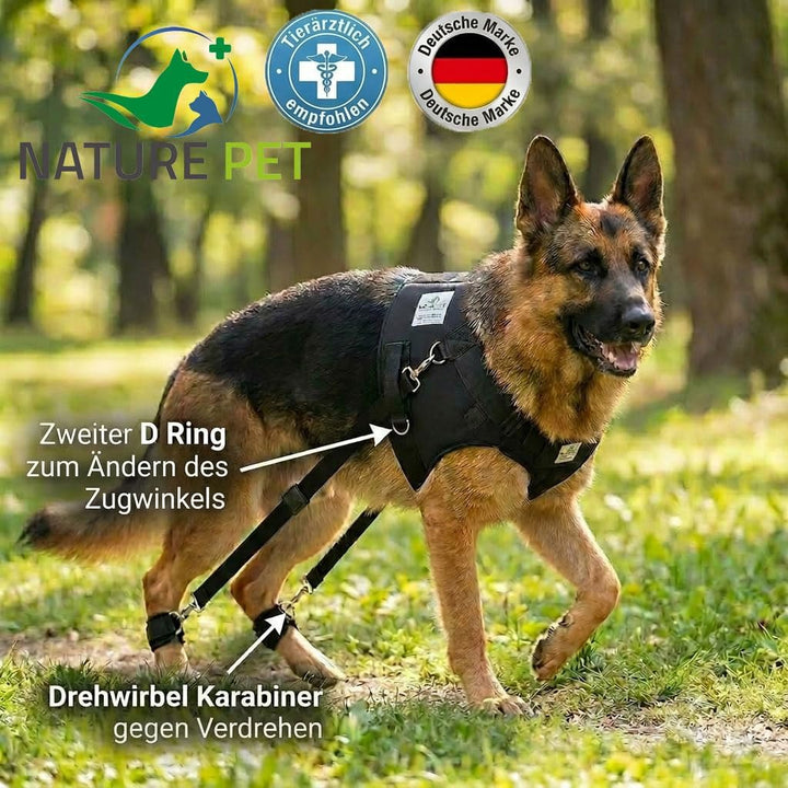Nature Pet Hundeexpander &amp; Rehageschirr für Hunde – Flexipander zur Rehabilitation, Mobilitätshilfe