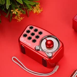 Radio Feegar Retro Bluetooth Lautsprecher,Vintage FM Radio mit altmodischem klassischem Stil,Starke