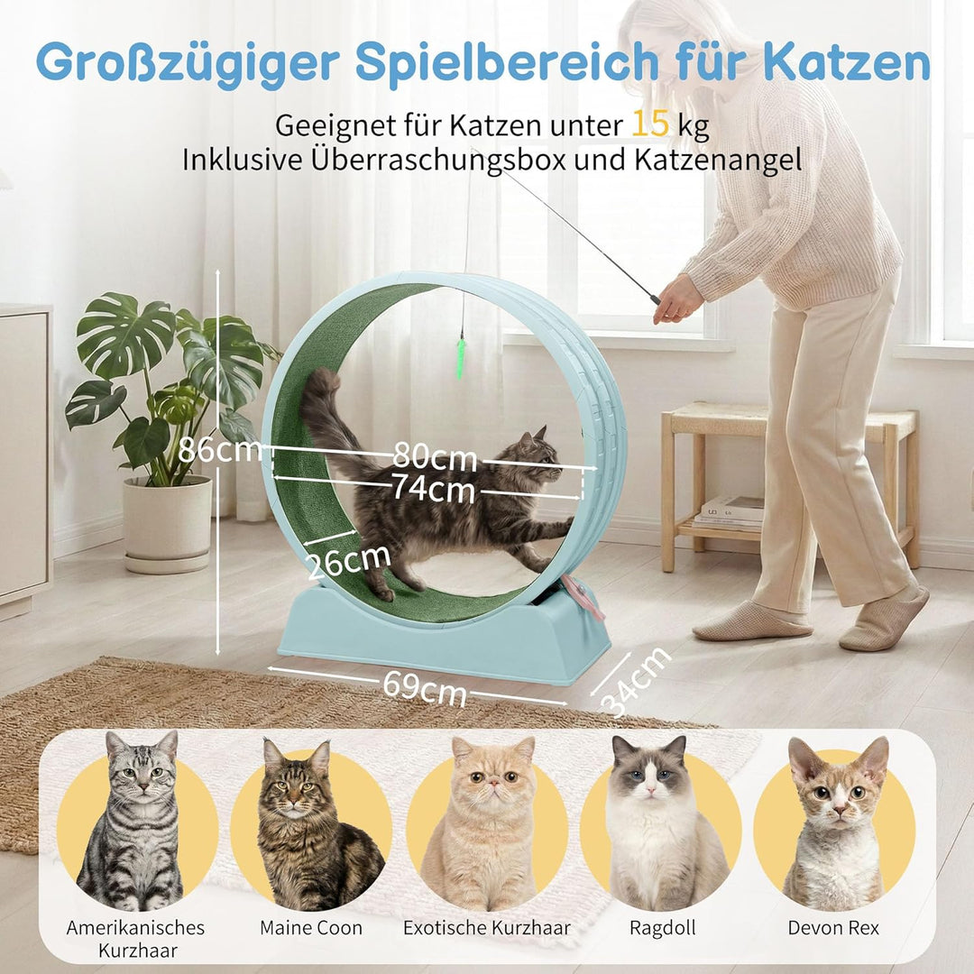 LEADZM Katzenlaufrad 80cm Durchmesser - Laufrad Katze aus Kunststoff, Inklusive Teppich und Katzensp