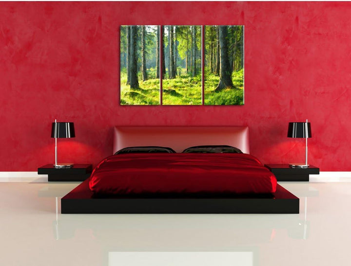 Pixxprint sonniger Tag im Wald / 3-Teilig/Gesamtmass 120cm Leinwandbild bespannt auf Holzrahmen/Wand