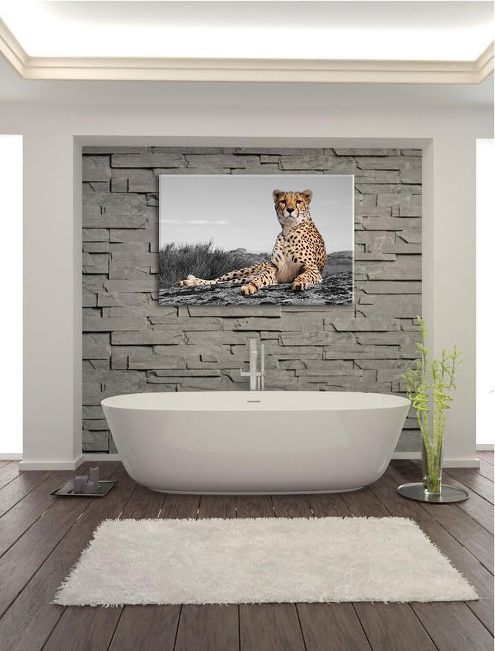 prächtiger Gepard in Savanne schwarz/weiss Format: 100x70 auf Leinwand, XXL riesige Bilder fertig ge