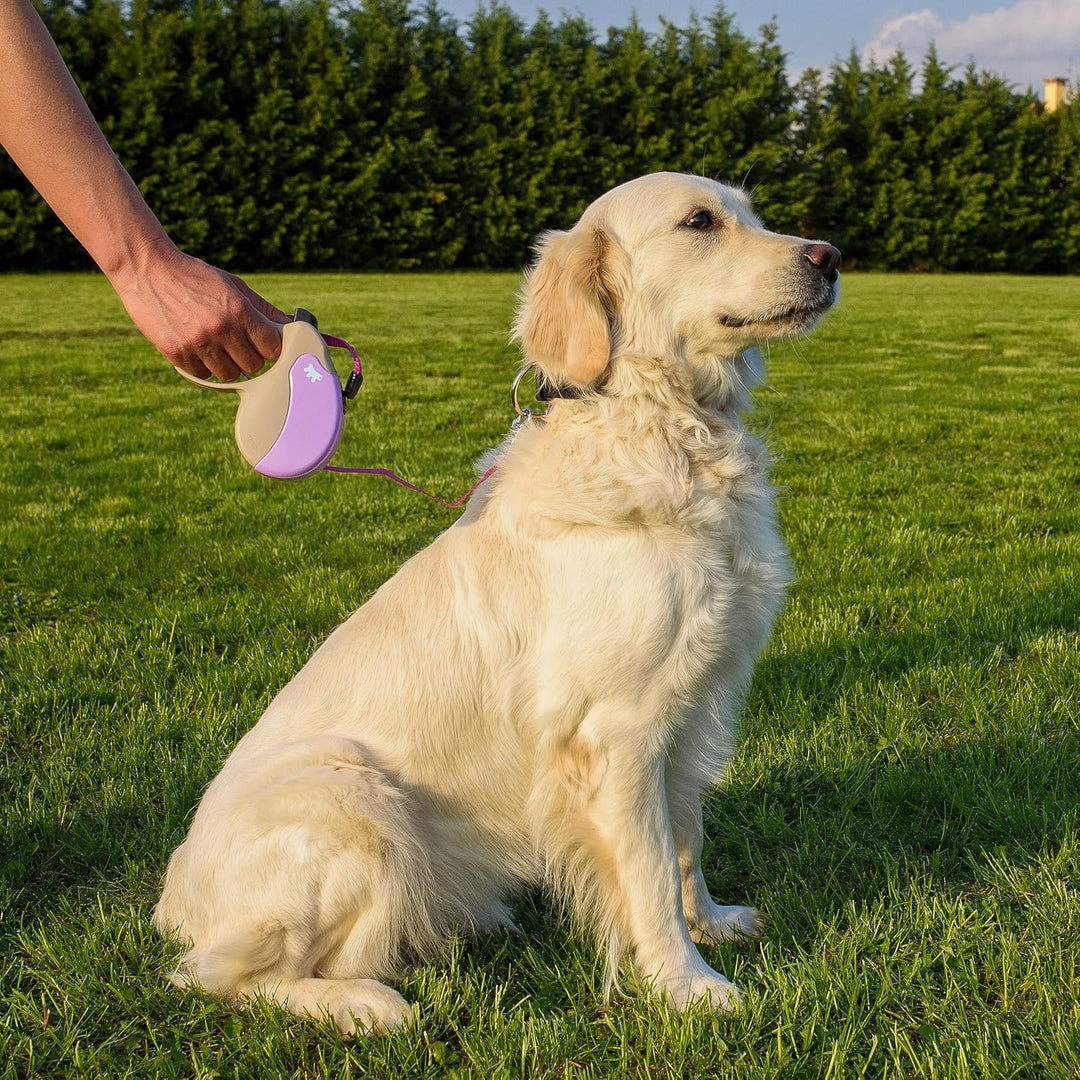 Ferplast Hundeleine Amigo MEDIUM, Rollleine mittelgrosse Hunde bis 25 kg. Schnur max. 5 m. Einzelner