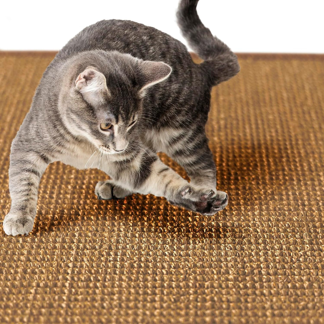 Floordirekt Katzen Kratzmatte rund 120cm Ø aus Natur Sisal Kratzteppich Kratzmöglichkeiten für Katze