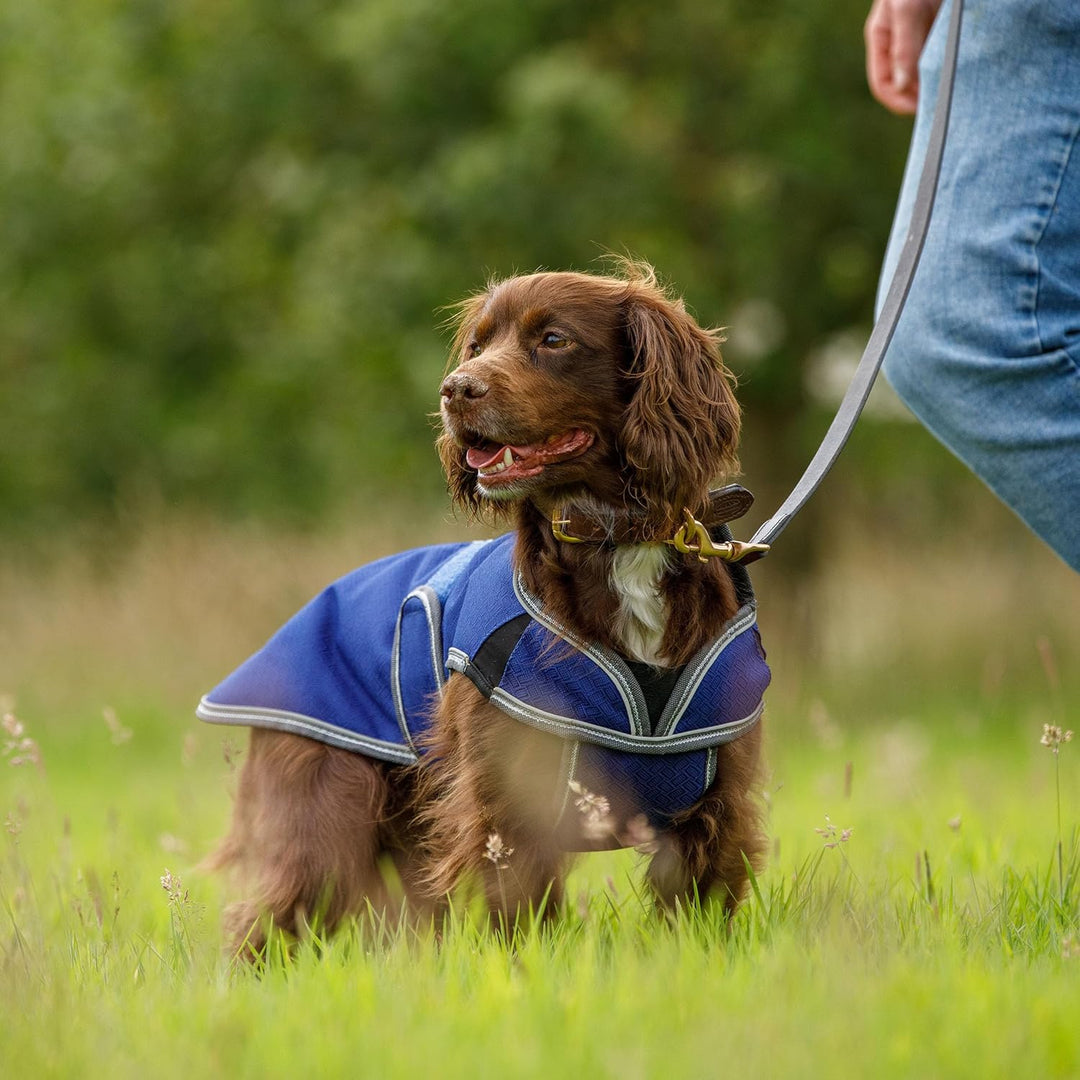 Weatherbeeta - Hund Comfitec Premier Kostenlos Parka Delux Hundemantel - Dunkelblau/Grau/Weiss 35 cm
