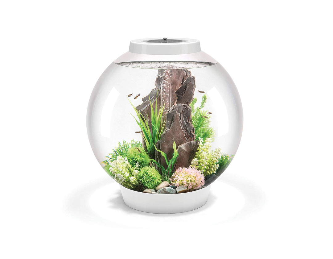 biOrb CLASSIC 60 LED weiss - dekoratives Aquarium Komplett-Set mit Filter-System, LED-Beleuchtung un