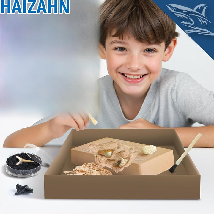 EggBox Haifischzahn-Ausgrabungs- und Sammelset, 1 Echter Haifischzahn und 8 Nachgebildete Haifischzä