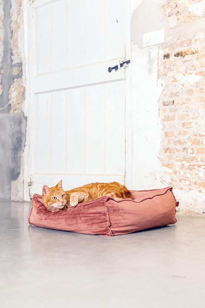 Designed by Lotte Velveti Liegekissen, Katze, Samt, pink, 50x50x20 cm Rosa L 50 x B 50 x H 20 cm, Ro