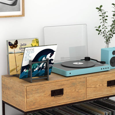 HIIMIEI Schallplatten Aufbewahrung, Acyrl Abnehmbar Schallplattenständer | Schallplattenregal mit 12