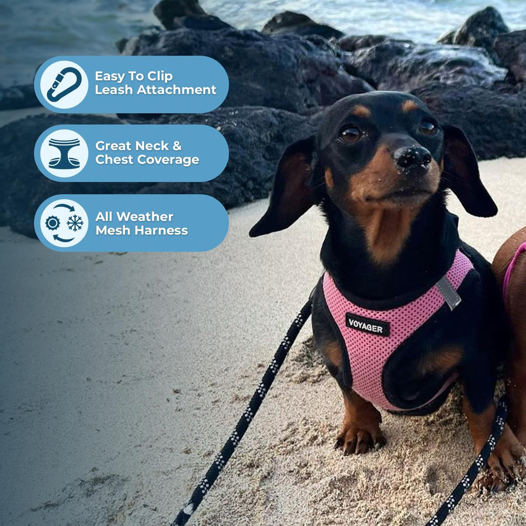 Best Pet Supplies Voyager Step-In Air Hundegeschirr – Allwetter Mesh Step In Weste Geschirr für klei