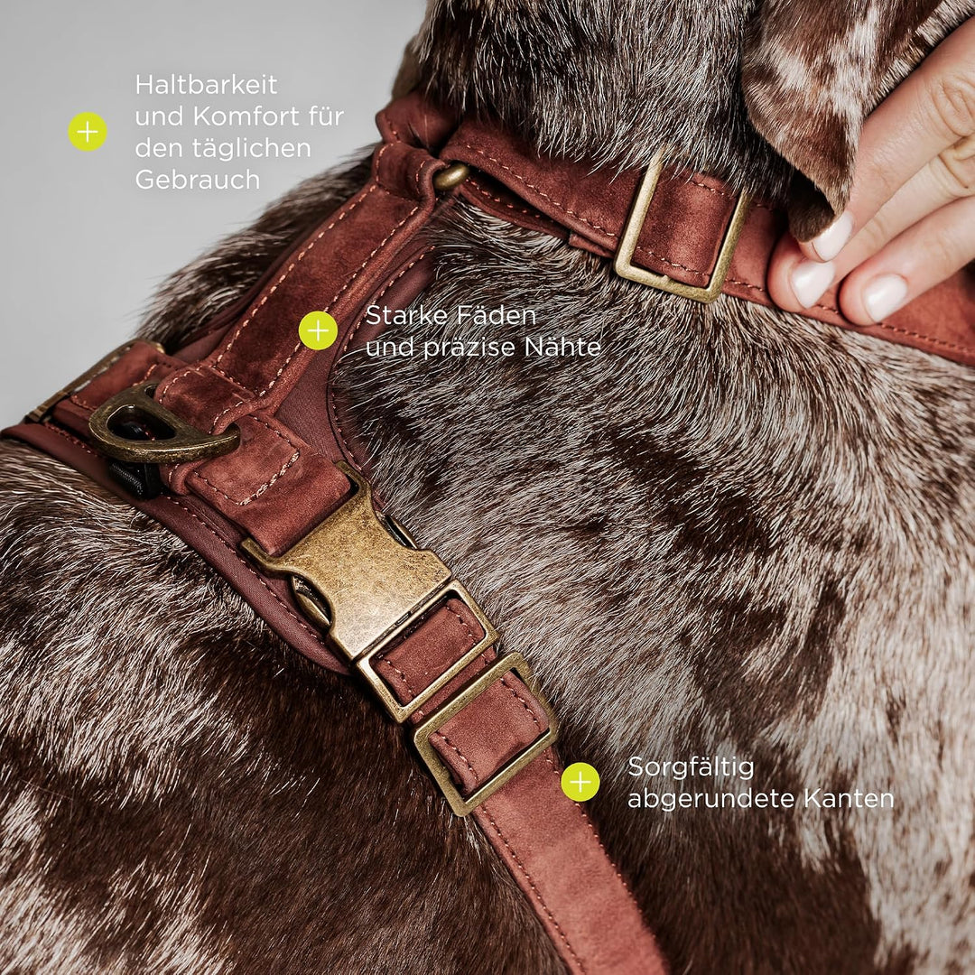 Lord Leder Hundegeschirr mit Guard-Konstruktion, Natürliche Rindsleder, für Sehr Kleine Hunde und We