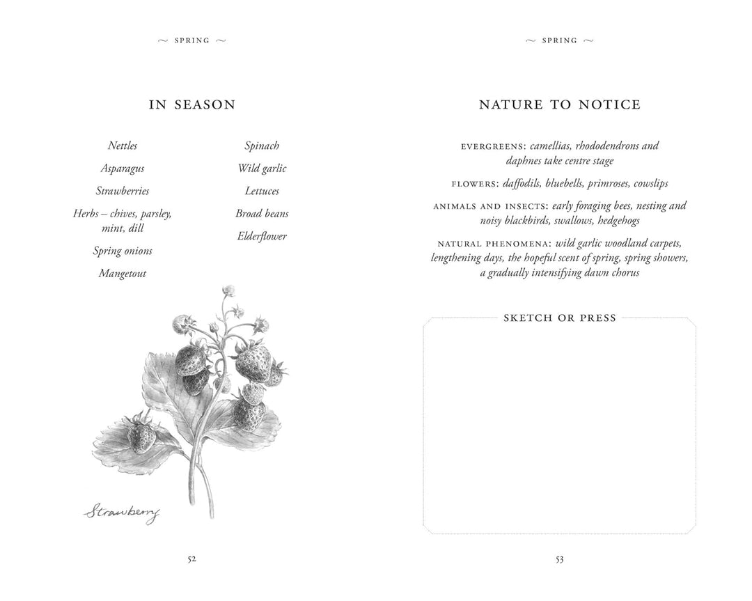 The Evergreen Journal (Lydia Elise Millen), Gebundenes Buch