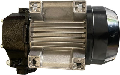 230V Dieselpumpe Panther 72 Betankungspumpe Flügelzellenpumpe mit Filter 70 lmin Industrielle, Indus
