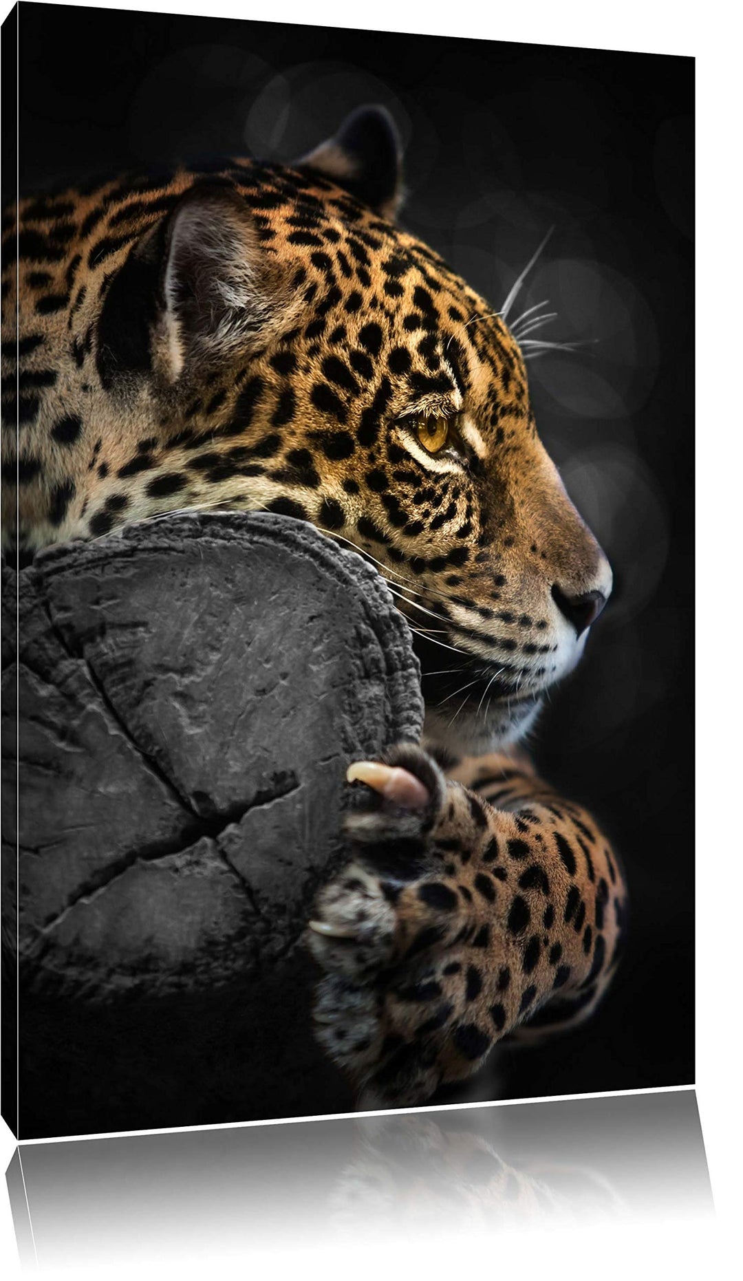 Dark prächtiger Leopard auf Stamm schwarz/weiss Format: 100x70auf Leinwand, XXL riesige Bilder ferti