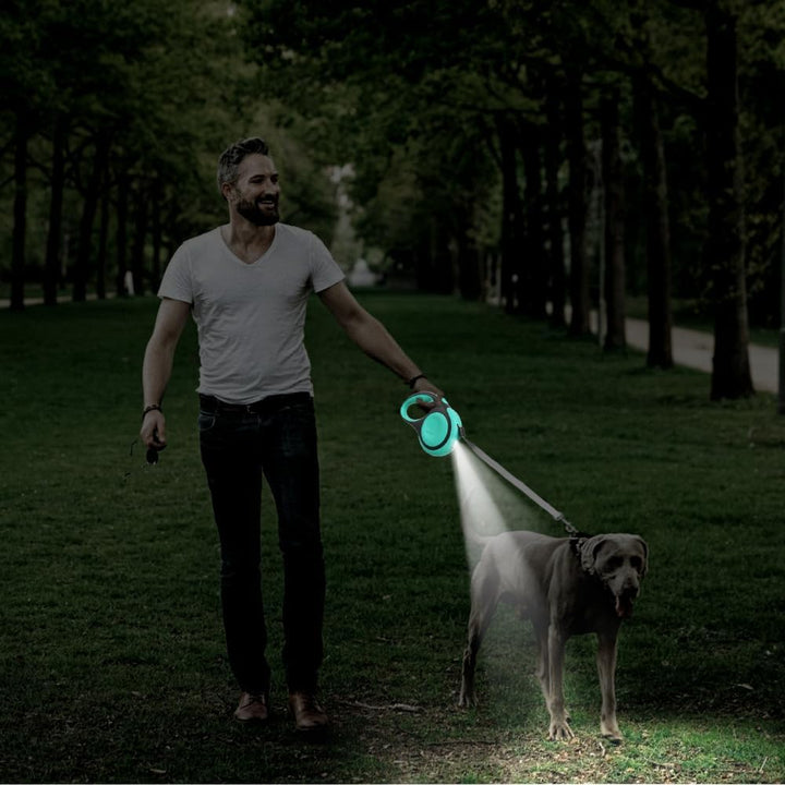 Einziehbare Hundeleine, 3/5 m, 30 kg, Robuste Hundeleine mit LED Taschenlampe, Einhandbremse Haustie