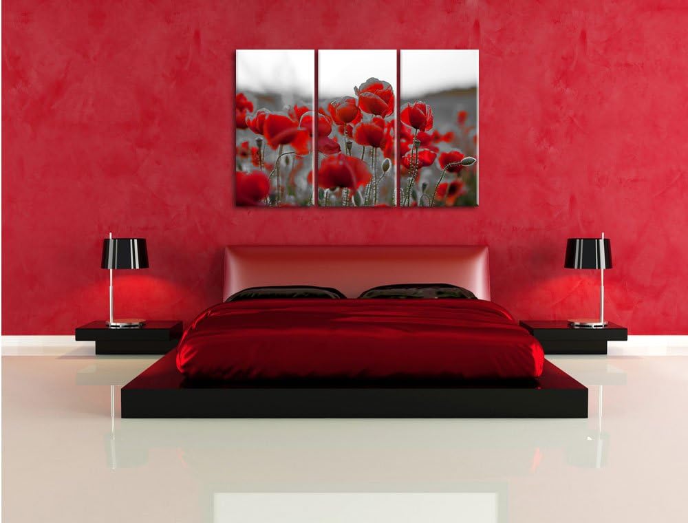 Pixxprint Feuriger Mohn als Leinwandbild | Grösse: 3 Teilig (120x80) | Wandbild| Kunstdruck | fertig