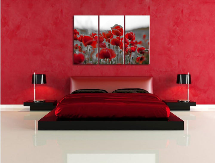 Pixxprint Feuriger Mohn als Leinwandbild | Grösse: 3 Teilig (120x80) | Wandbild| Kunstdruck | fertig