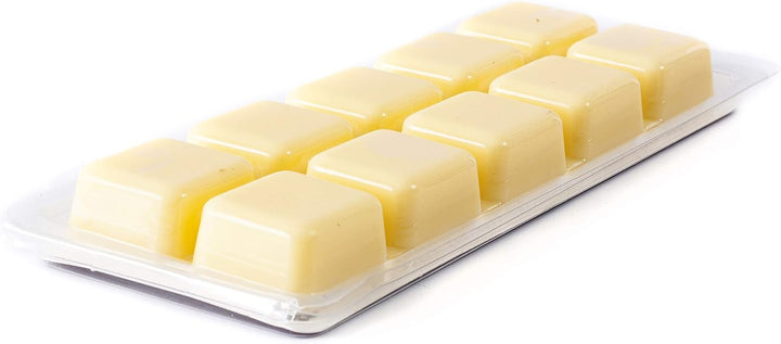 World Of Moulds Welt der Formen 100 Stück 10-Cavity Wachs-Tart Clamshell Schimmel, PVC, 21,2 x 15,8 