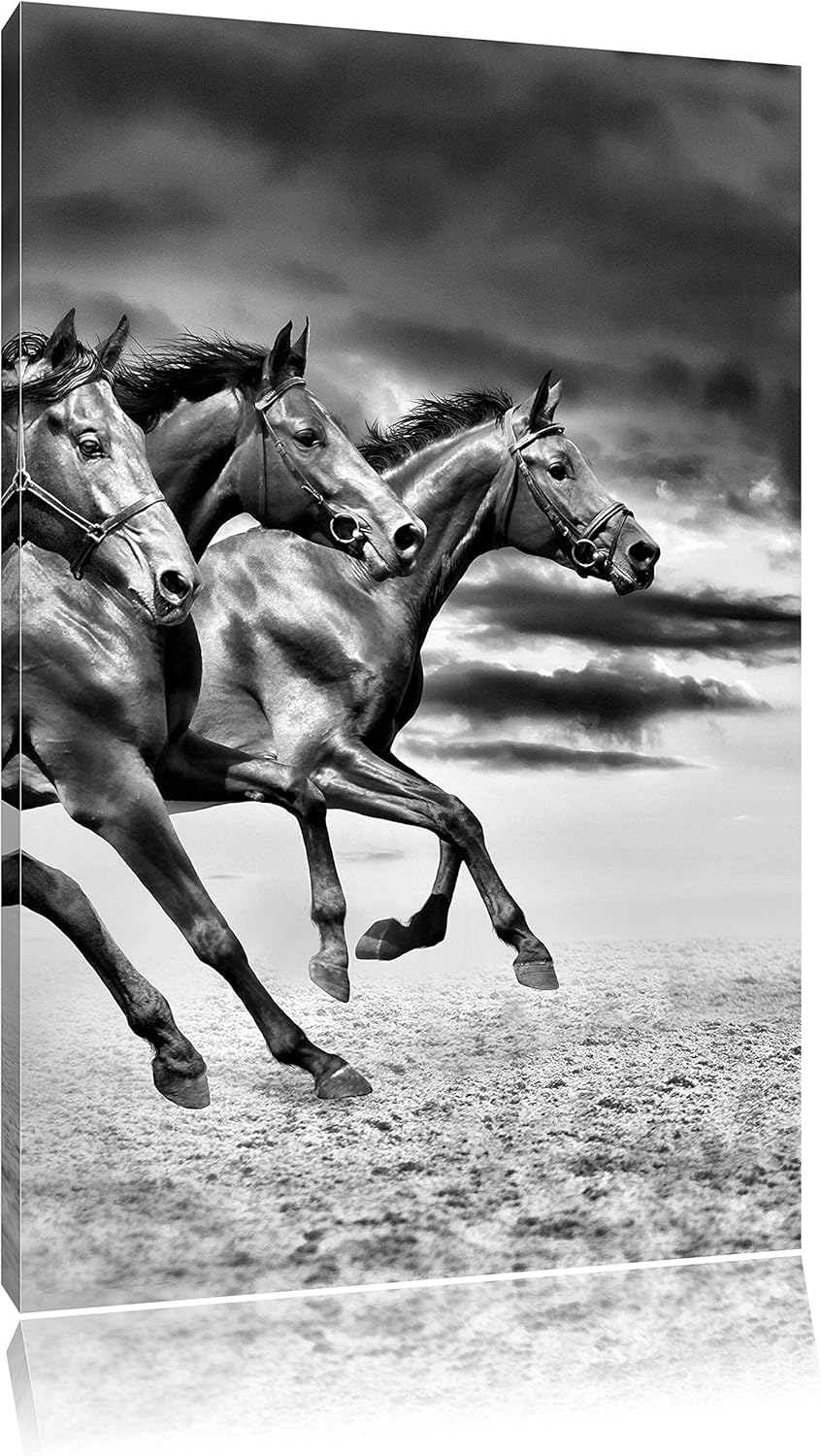 Pixxprint Monocrome, DREI Wilde Westernpferde, Format: 100x70 auf Leinwand, riesige Bilder fertig ge
