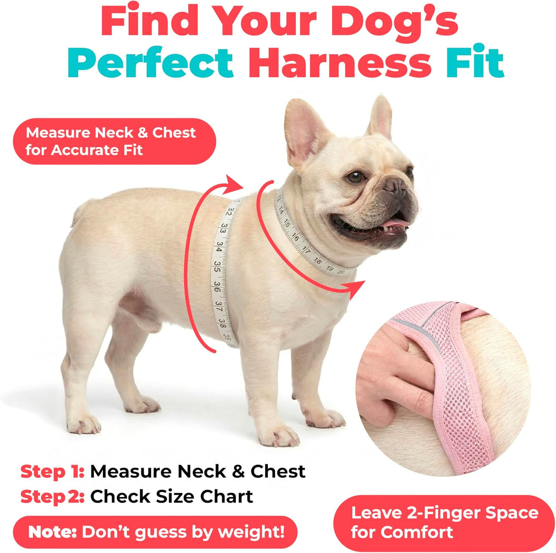 Best Pet Supplies Voyager Step-In Air Hundegeschirr – Allwetter-Netzgewebe für kleine und mittelgros