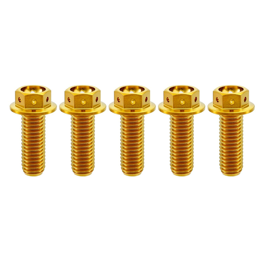 RISON Titanium Bolzen M6x1.0x10mm Titan Flansch Schrauben TC4 Titan Schrauben Sechskantschraube gold