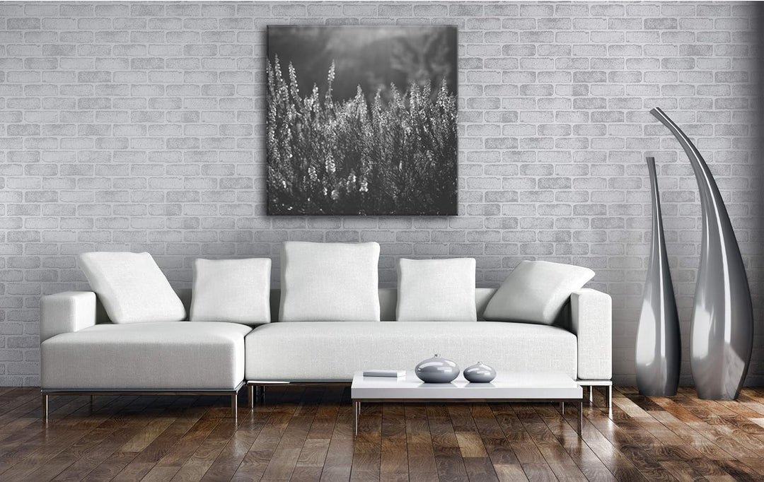 deyoli blühende Gräser Format: 60x60 Effekt: Schwarz&Weiss als Leinwandbild, Motiv fertig gerahmt au