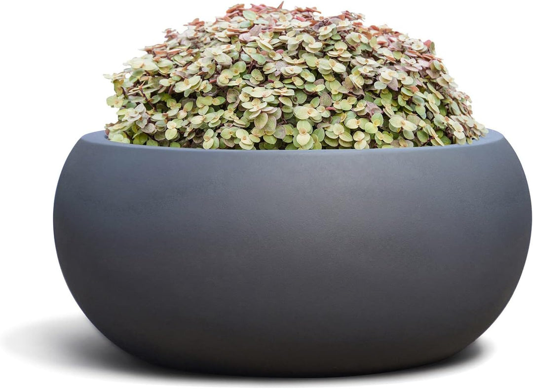 ESCHBACH® Pflanzkübel Low Balloon 60 Anthrazit Schwarz Schale * 55 x 55 x 25 cm * 10 Jahre Garantie