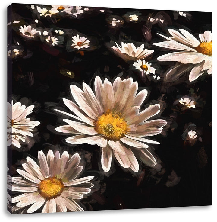Pixxprint Margeriten als Leinwandbild/Grösse: 70x70 cm/Wandbild/Kunstdruck/fertig bespannt, 70x70