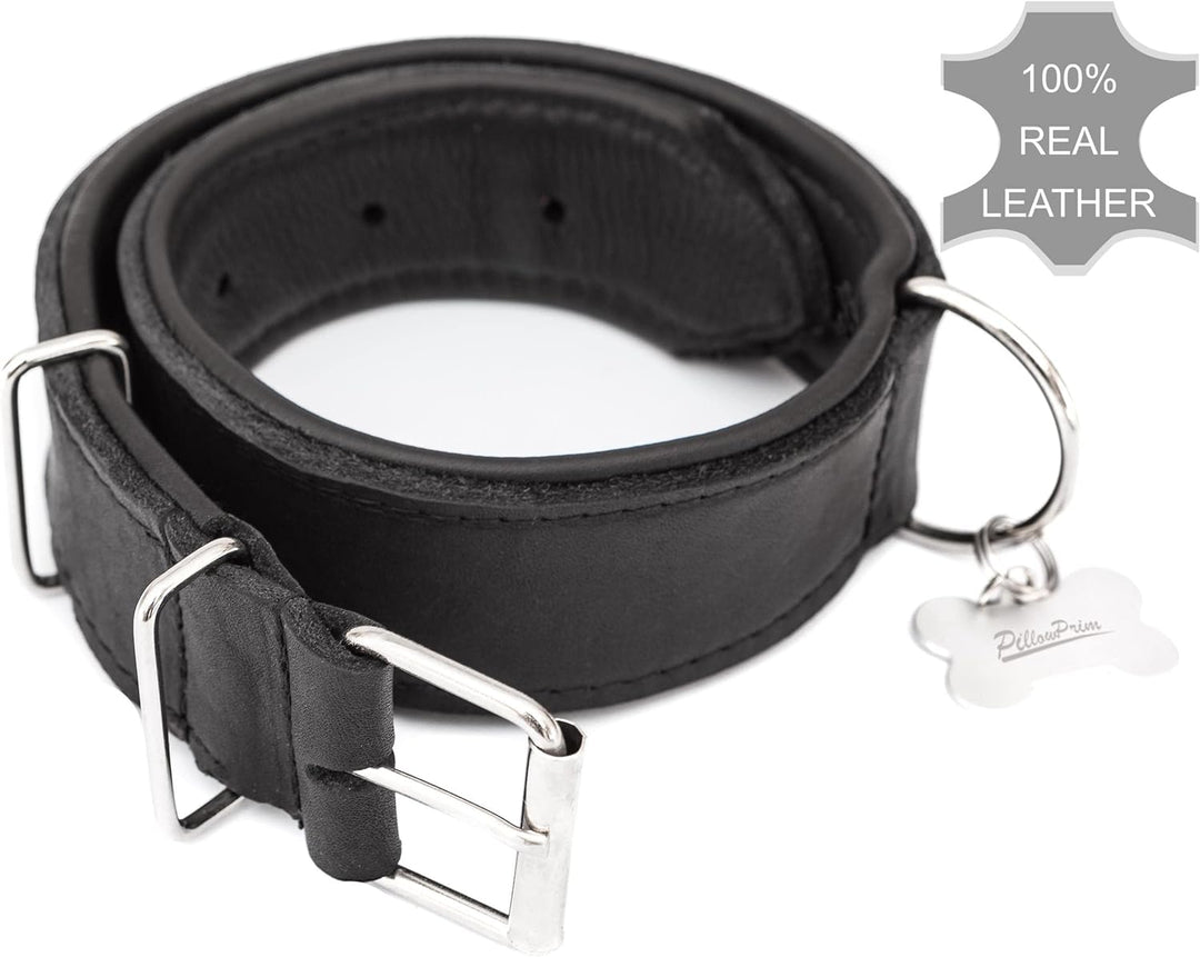 Hundehalsband Leder, Halsband, Leder, Lederhalsband Hund, Metallschnalle, 65 x 4 cm, Schwarz Einstel