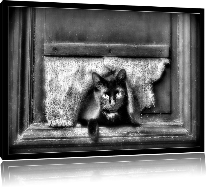 Pixxprint Monocrome, Schwarze Katze durch Hundeklappe, Format: 100x70 auf Leinwand, 100x70