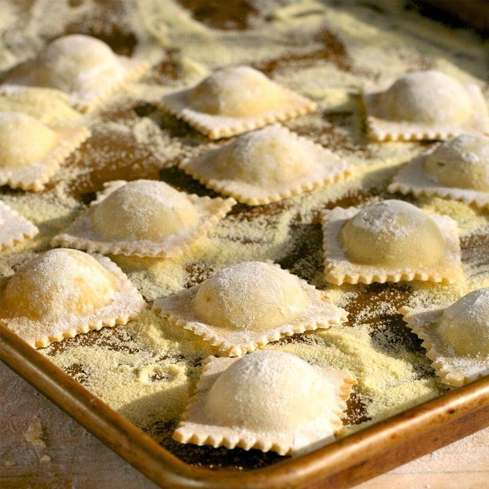 MASTER FENG Ravioli Former Ausstecher Cutter mit Teigtaschenrad Set, Pasta Maker Runde Mould mit Hol
