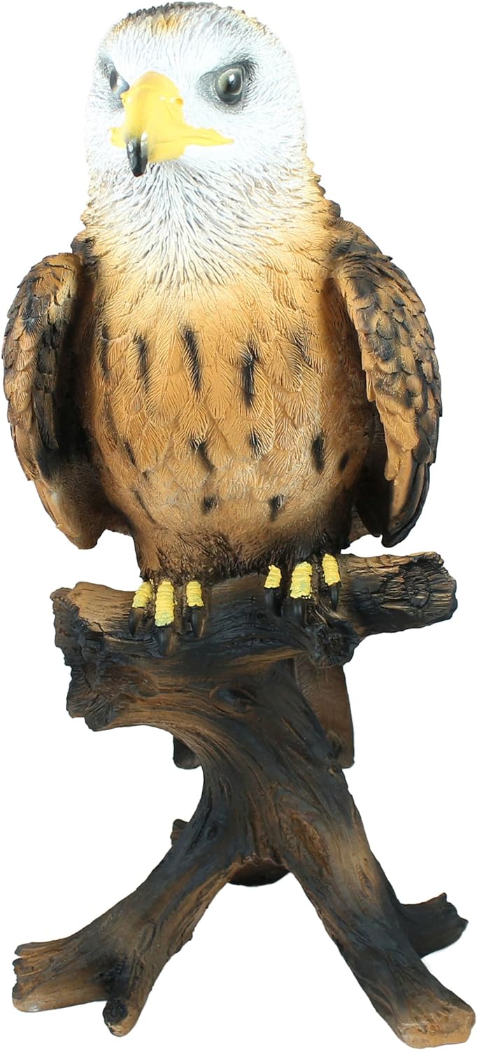 colourliving Dekofigur Weisskopfseeadler Greifvogel Höhe 50 cm Tierfigur Gartenfigur Vogeldeko Garte