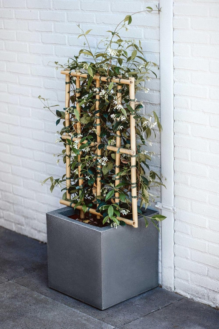 Capi Europe - Blumentopf quadratisch Smooth NL - 50x50 - Schwarz - Öffnung Ø42 - Blumentopf für den