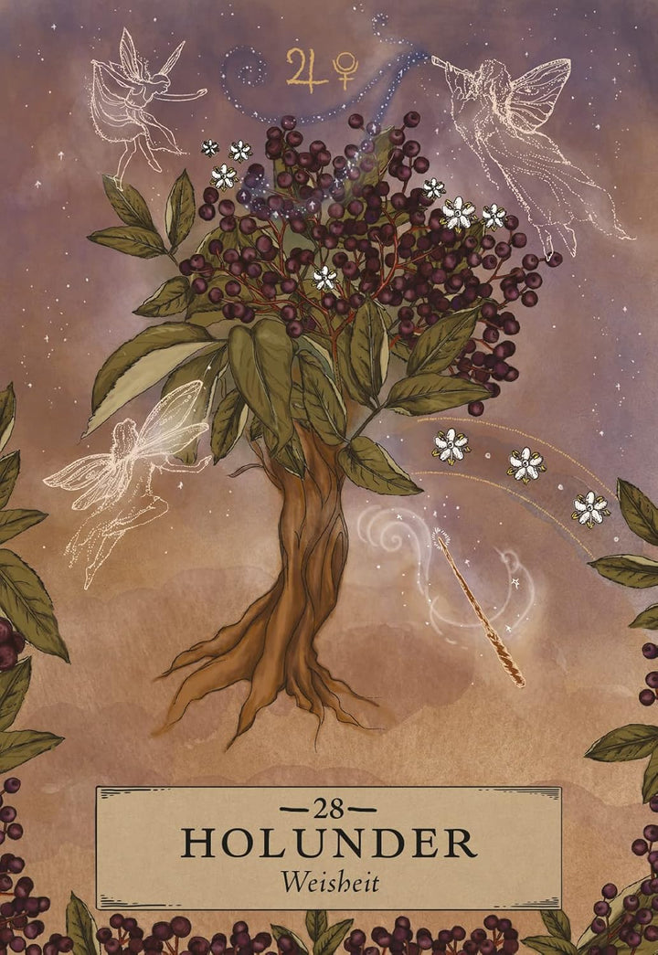 Herbal Astrology Orakel: 55 Karten mit Botschaften und Anleitungen (Stülpdeckelschachtel mit Goldprä