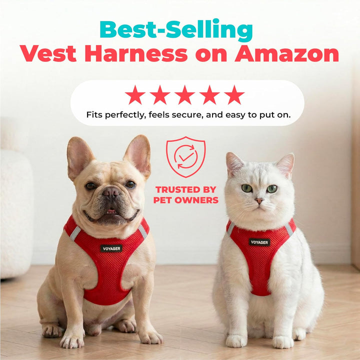Best Pet Supplies Voyager Step-In Air-Hundegeschirr – Allwetter-Mesh-Weste für kleine und mittelgros